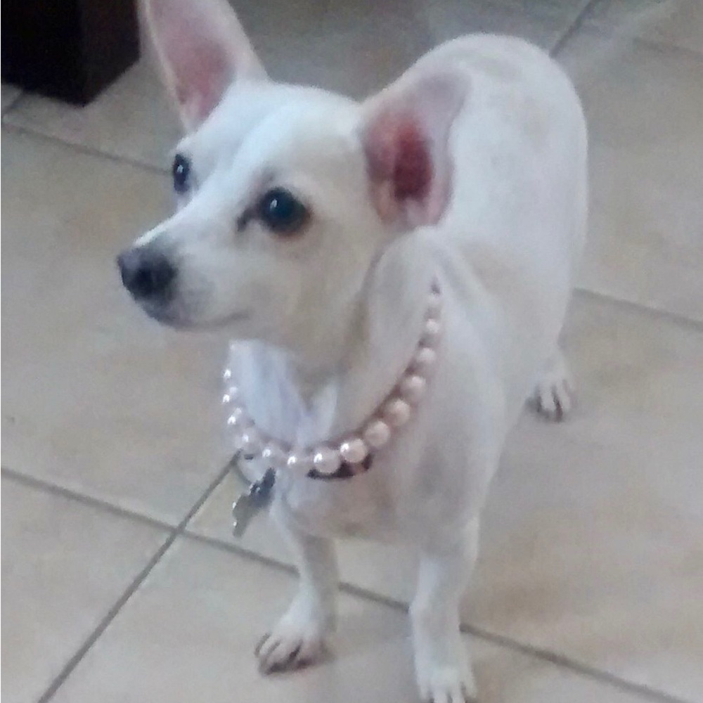 Meet your Posher, Ange